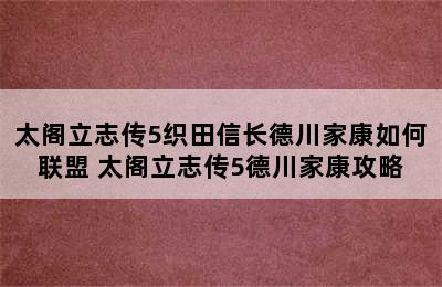 太阁立志传5织田信长德川家康如何联盟 太阁立志传5德川家康攻略